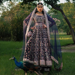 Hussain Rehar | Falak