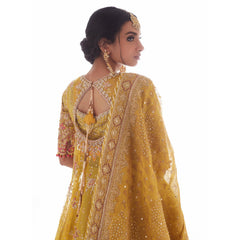 FTA | Leen Kiwi kalidaar